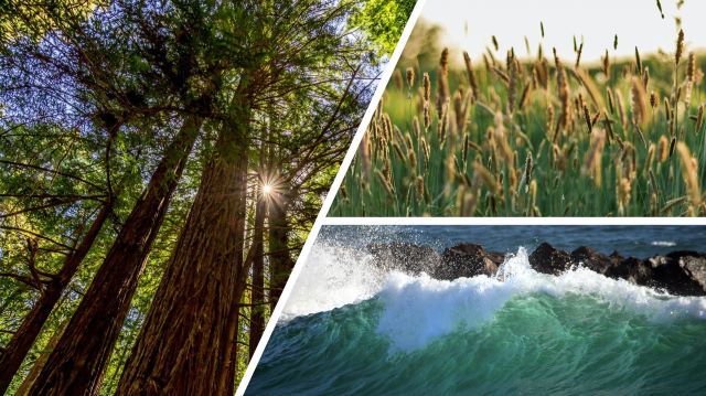 30 by 30 land, sea images